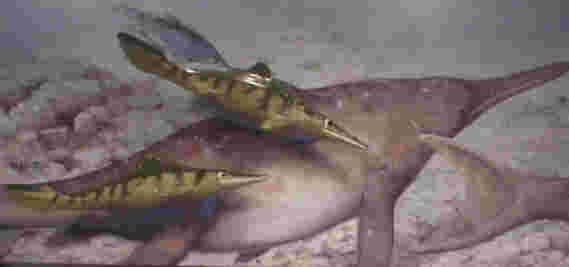 Mixosaurus